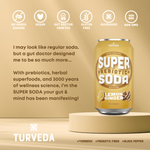 LEMON GINGER +Turmeric Prebiotic SUPER SODA (12 Pack)
