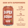 BLOOD ORANGE PASSION FRUIT +Vitamin C Prebiotic Super Soda (12 Pack)